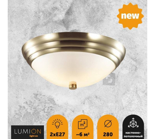 Накладной светильник Lumion Kayla 5262/2C