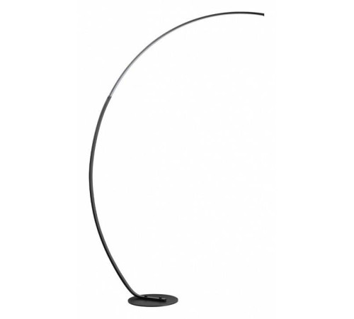 Торшер Lumion Ledio 5676/21FL