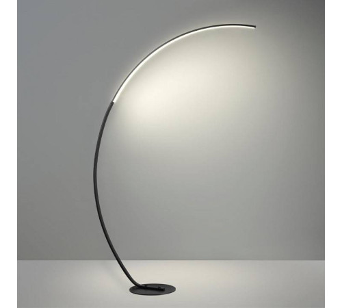 Торшер Lumion Ledio 5676/21FL