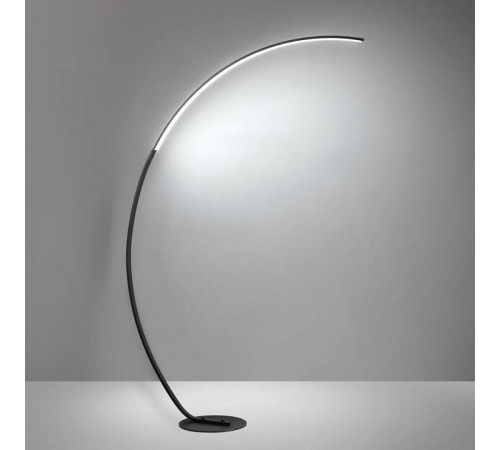 Торшер Lumion Ledio 5676/21FL