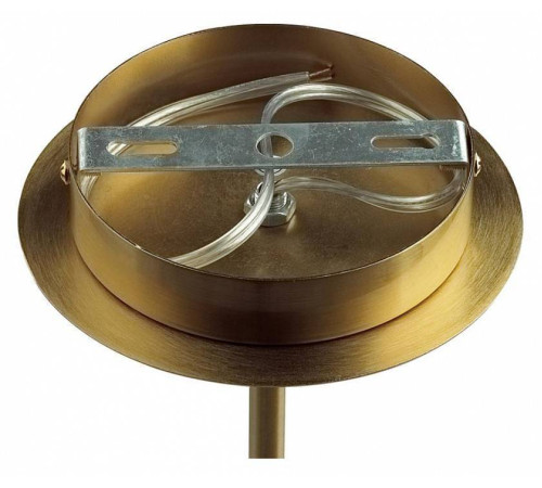 Люстра на штанге Lumion Madonna 6554/6C