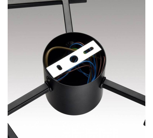 Потолочная люстра Lumion Dabra 8186/6C