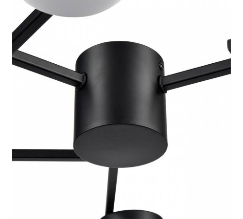 Потолочная люстра Lumion Dabra 8186/6C