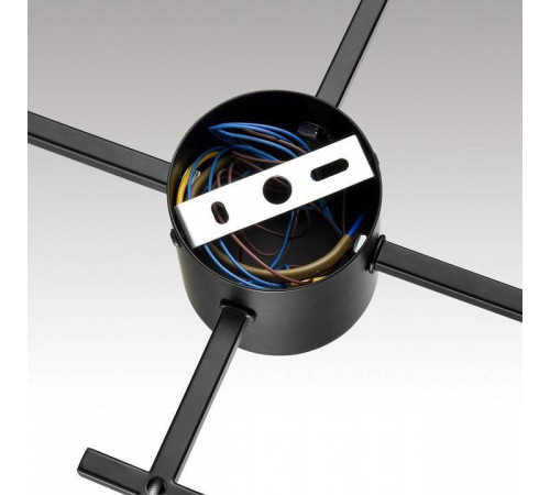 Потолочная люстра Lumion Dabra 8186/8C