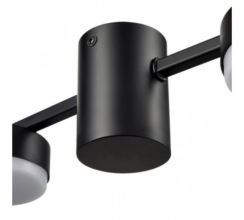 Накладной светильник Lumion Sanata 8187/4C