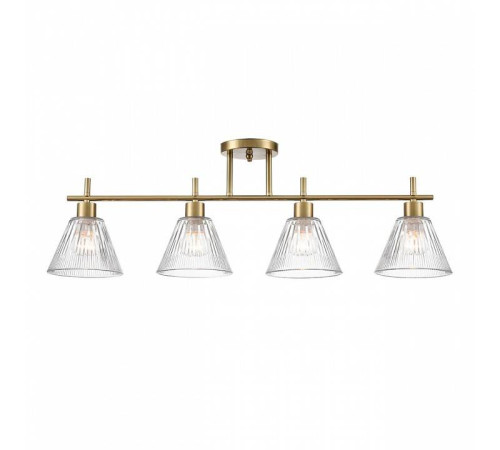 Светильник на штанге Lumion Vivian 8188/4C