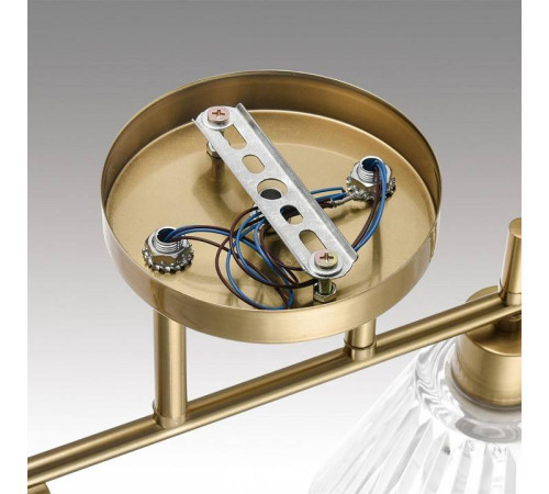 Светильник на штанге Lumion Vivian 8188/4C