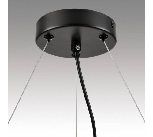 Подвесная люстра Lumion Natalina 8232/6