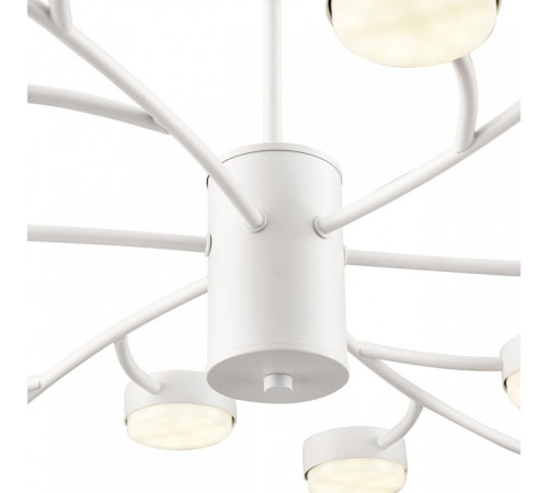 Люстра на штанге Lumion TORINA 8265/18