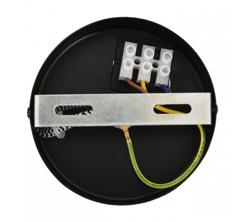 Подвесной светильник Lumion ECO 8364/1A