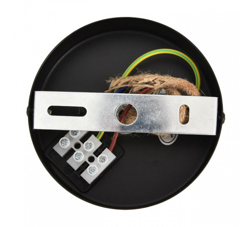 Подвесной светильник Lumion ECO 8366/1A