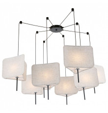 Подвесная люстра Lussole Oldham LSP-6062