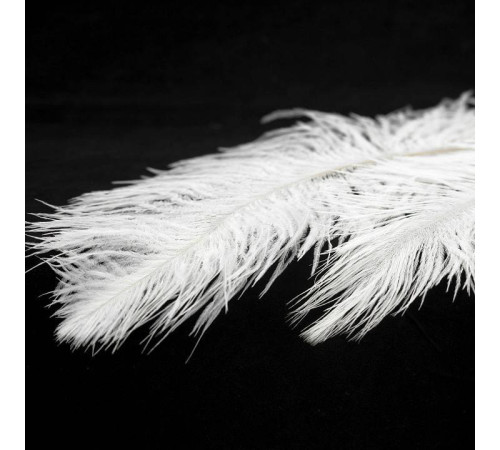 Подвесной светильник Lussole LSP-86 LSP-8601