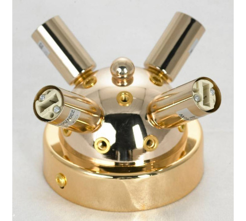 Потолочная люстра Lussole Davie LSP-8781