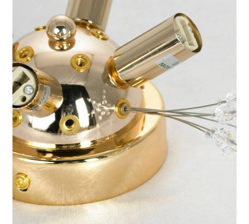 Потолочная люстра Lussole Davie LSP-8781