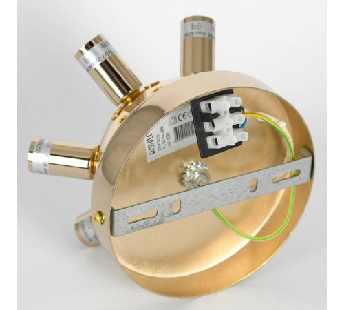 Потолочная люстра Lussole Davie LSP-8782