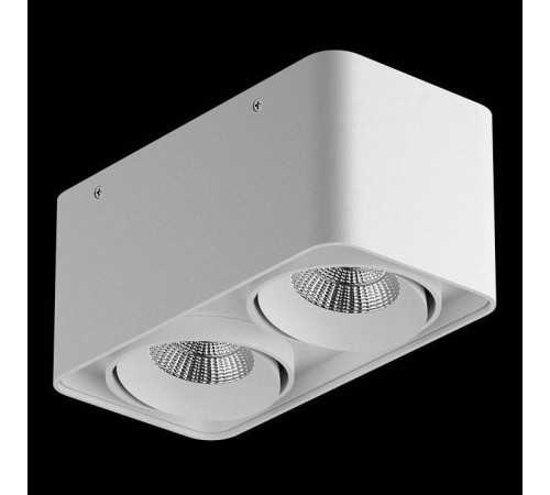 Накладной светильник Lightstar Monocco 052126-IP65