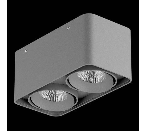 Накладной светильник Lightstar Monocco 052129-IP65