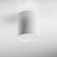 Накладной светильник Lightstar Acuto 215886