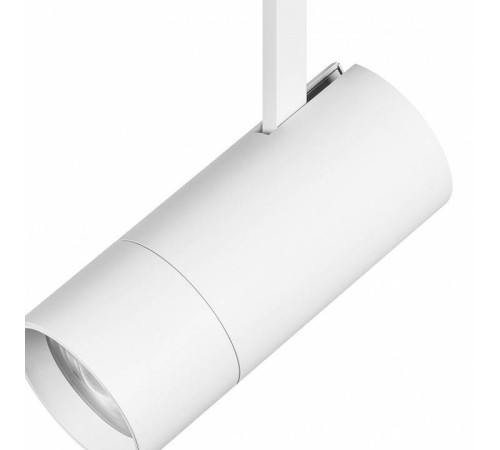 Светильник на штанге Lightstar Volta 229346