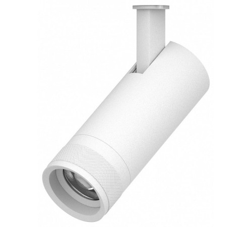 Светильник на штанге Lightstar Canno Pro 304126