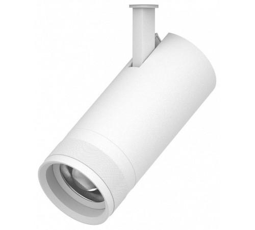 Светильник на штанге Lightstar Canno Pro 304206