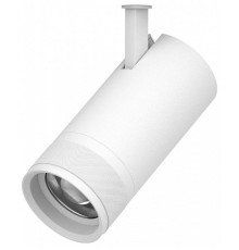 Светильник на штанге Lightstar Canno Pro 304306