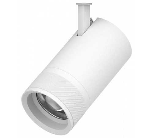 Светильник на штанге Lightstar Canno Pro 304406