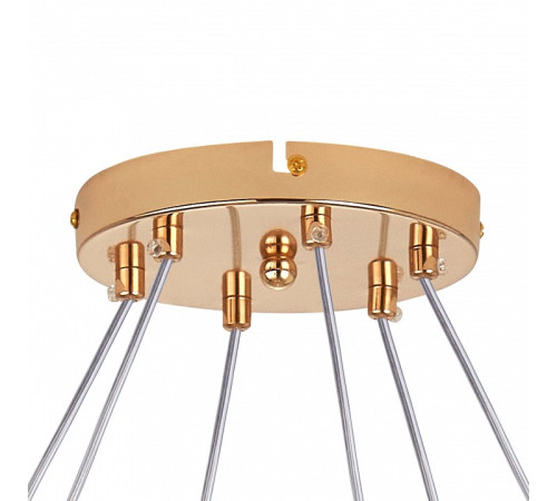 Подвесная люстра Lightstar Acrile G9 737063