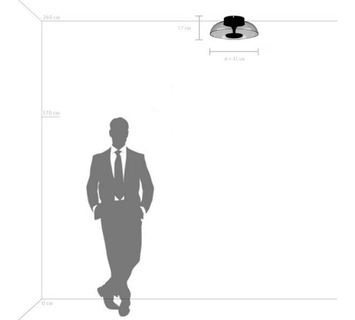 Накладной светильник Lightstar Celesta 809200