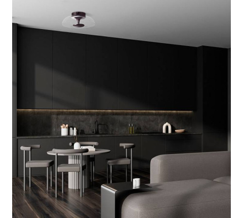 Накладной светильник Lightstar Celesta 809200