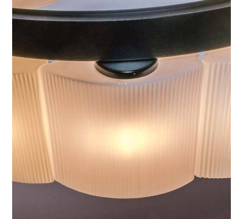 Подвесной светильник Lightstar Nibbler 812186