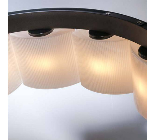 Подвесной светильник Lightstar Nibbler 812236