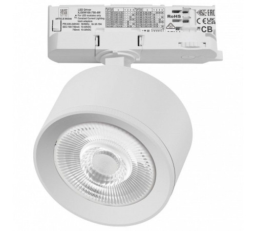 Светильник на штанге Lightstar Alta Pro A5536QT60G
