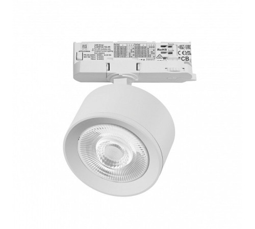 Светильник на штанге Lightstar Alta Pro A5536QT60G