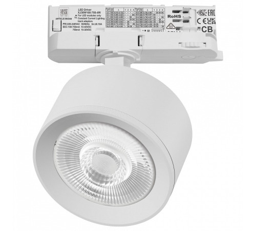 Светильник на штанге Lightstar Alta Pro A5546QT60G