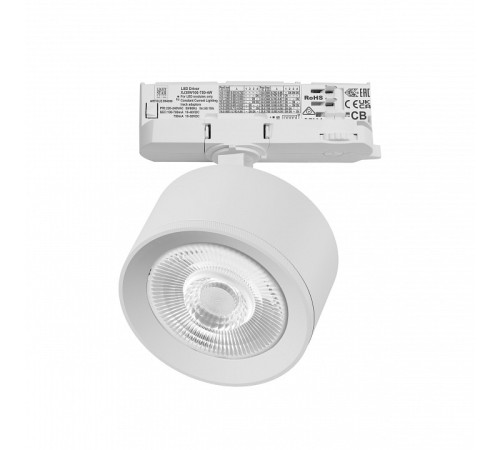 Светильник на штанге Lightstar Alta Pro A5546QT60G