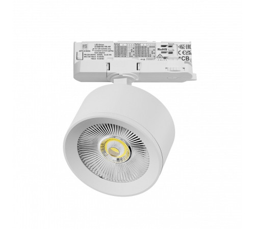 Светильник на штанге Lightstar Alta Pro A5546QT