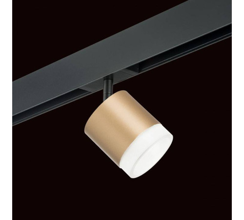 Светильник на штанге Lightstar Rullo PRO349080