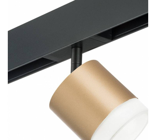 Светильник на штанге Lightstar Rullo PRO349080