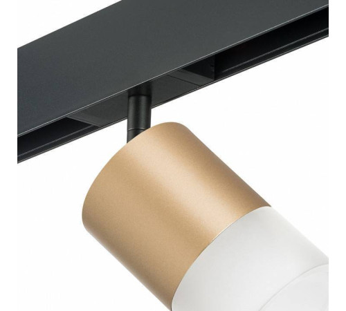 Светильник на штанге Lightstar Rullo PRO349081