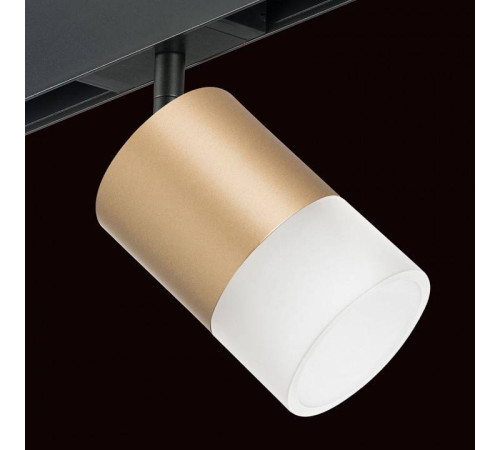 Светильник на штанге Lightstar Rullo PRO349081