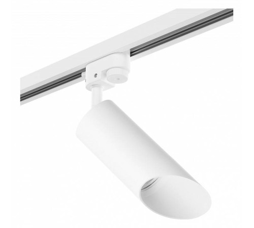 Светильник на штанге Lightstar Rullo R1T43636