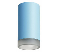 Накладной светильник Lightstar Rullo R43530