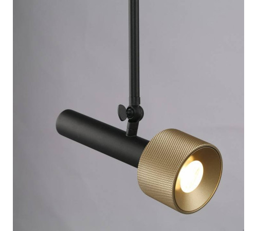 Светильник на штанге iLedex Delta 2361-1 BK+BR