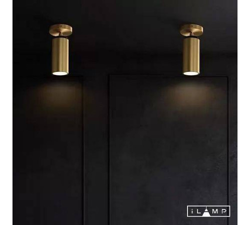 Спот iLamp Plum 8861C BR-BK