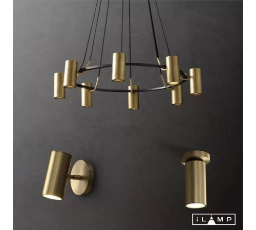 Спот iLamp Plum 8861C BR-BK