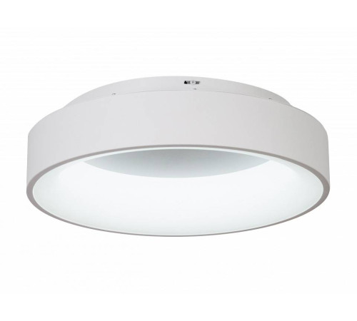 Накладной светильник MyFar Shannon MR2194-1PL