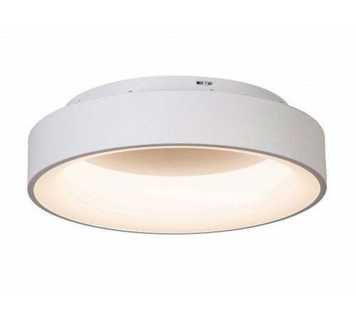 Накладной светильник MyFar Shannon MR2194-1PL