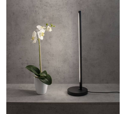 Настольная лампа декоративная Mantra Torch 6738